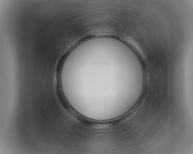 X0000111800202200907231002