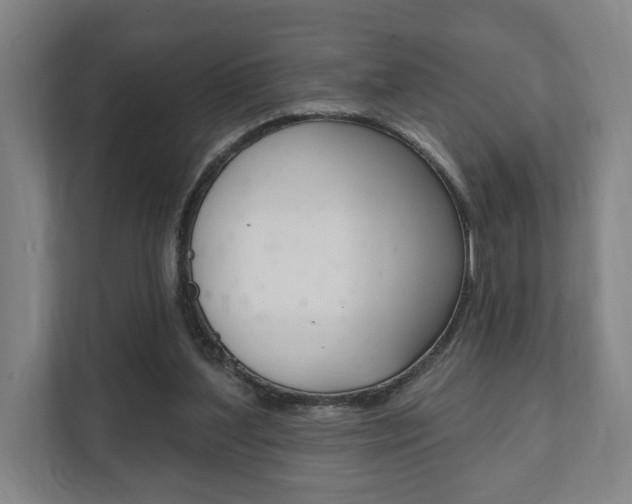 X0000111800204200907231002