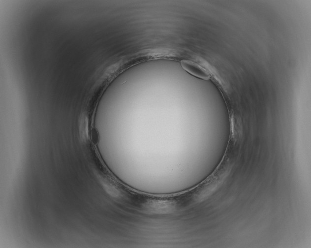X0000111800205200907231002
