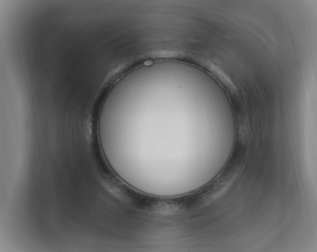 X0000111800207200907231002