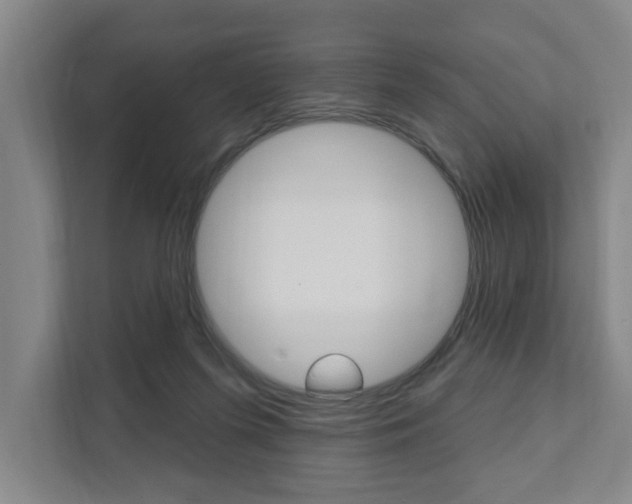 X0000111800215200907231002