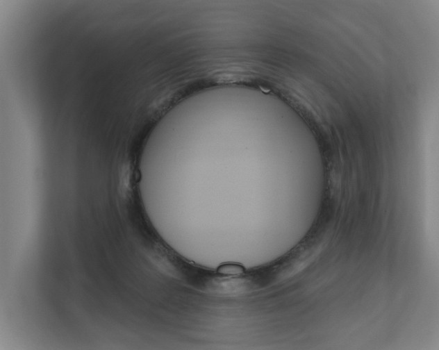 X0000111800219200907231002