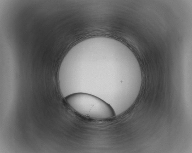 X0000111800221200907231002