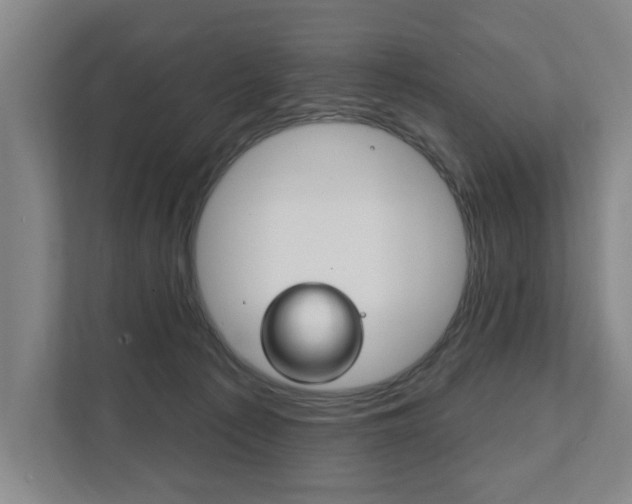 X0000111800225200907231002