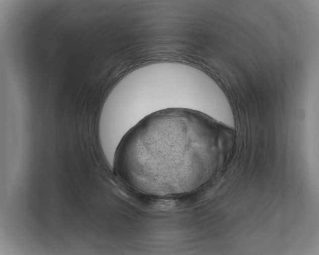 X0000111800227200907231002