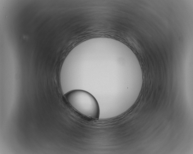 X0000111800229200907231002