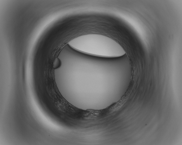 X0000111800239200907231002