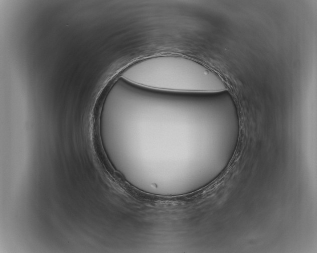 X0000111800242200907231001