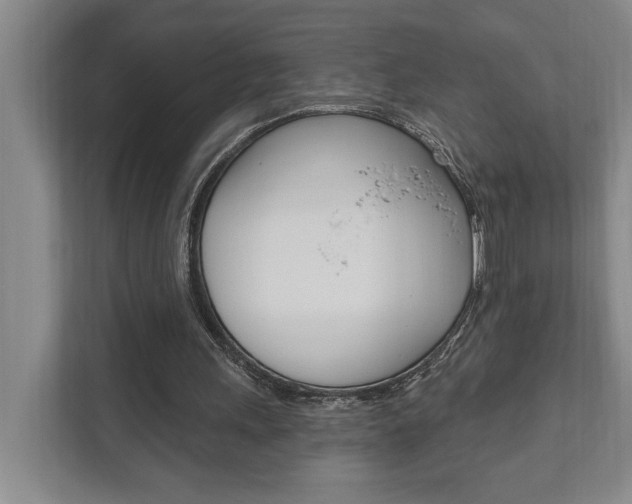 X0000111800243200907231001