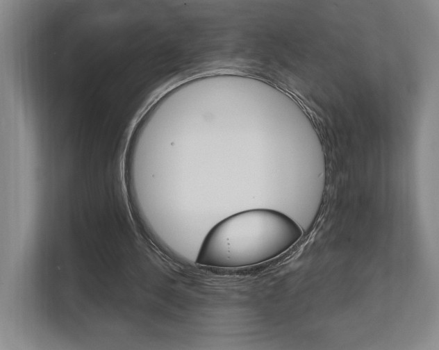 X0000111800244200907231001