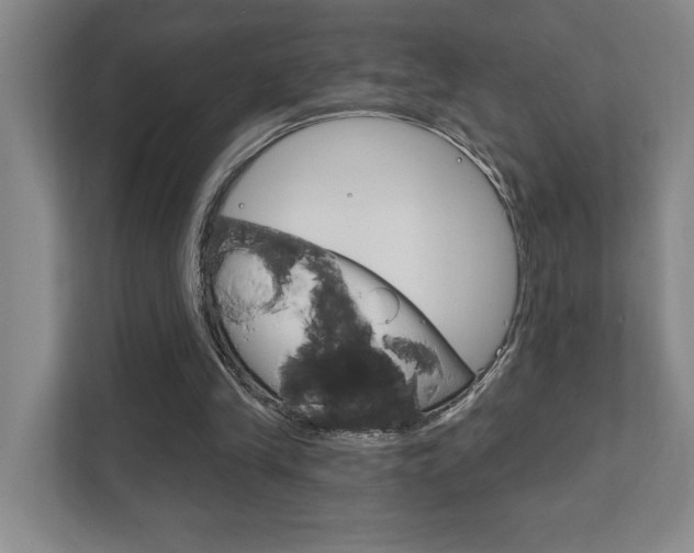 X0000111800245200907231001