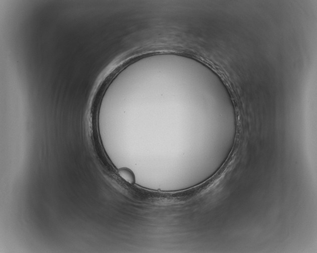 X0000111800246200907231001