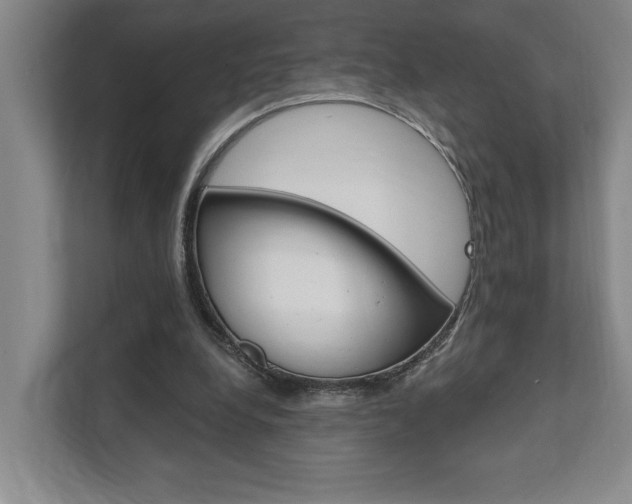 X0000111800248200907231001