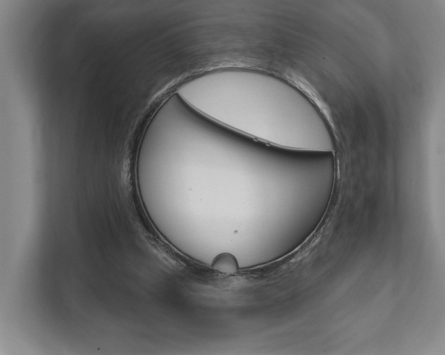 X0000111800249200907231001
