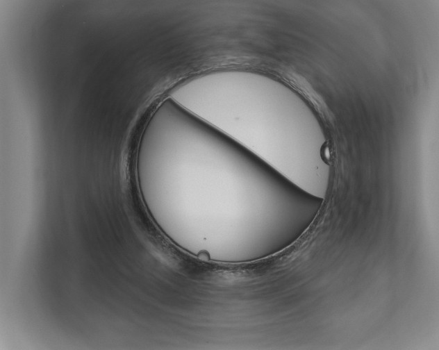 X0000111800250200907231001