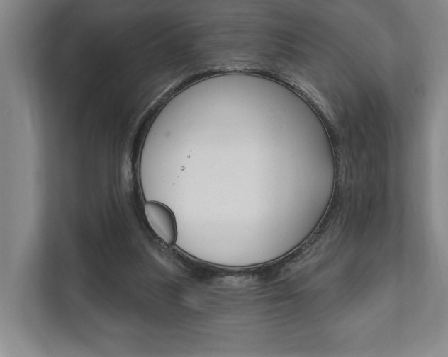 X0000111800251200907231001