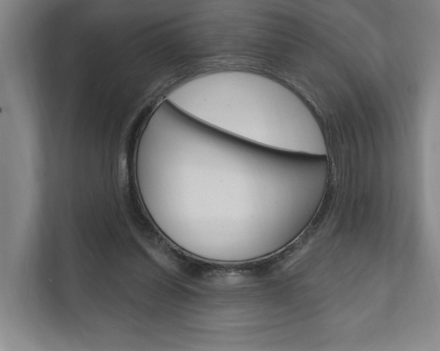 X0000111800254200907231001