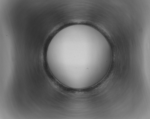 X0000111800256200907231001