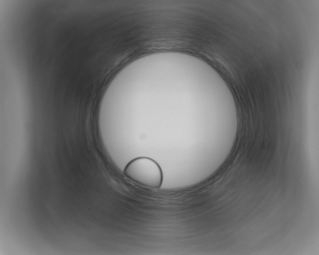 X0000111800264200907231001