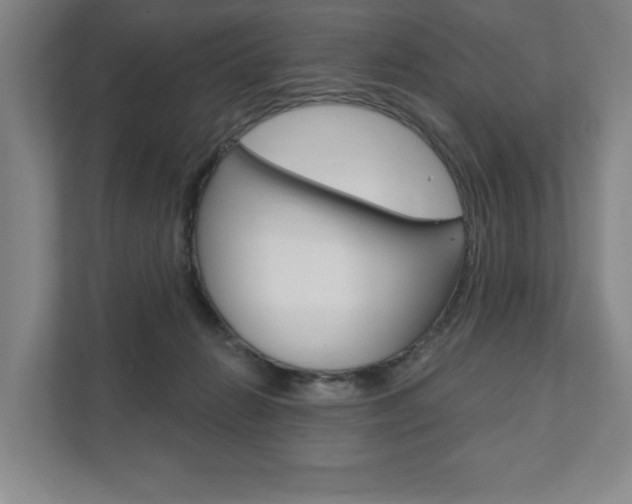 X0000111800270200907231001