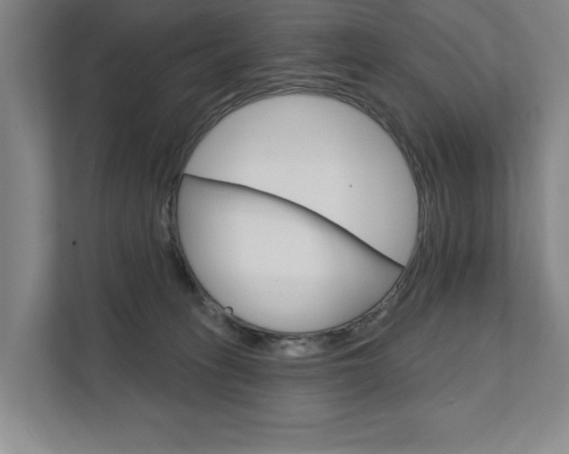 X0000111800275200907231001