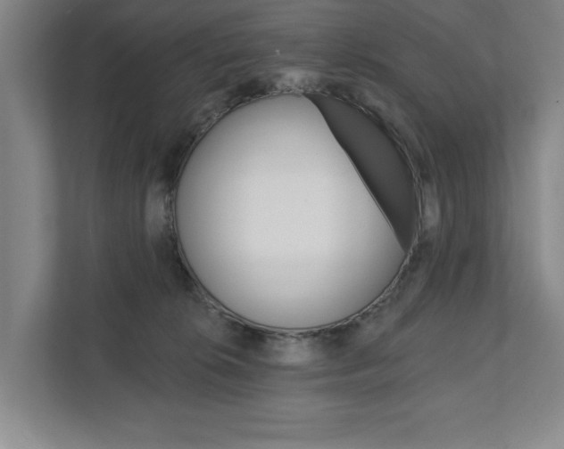 X0000111800276200907231001