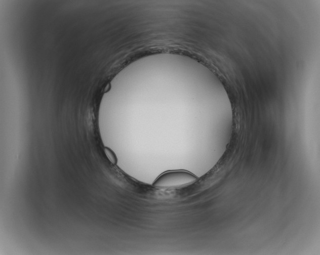 X0000111800279200907231001