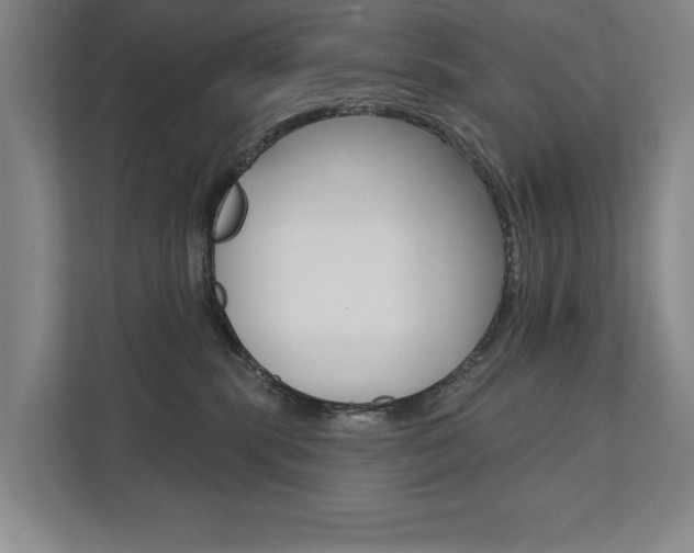 X0000111800283200907231001