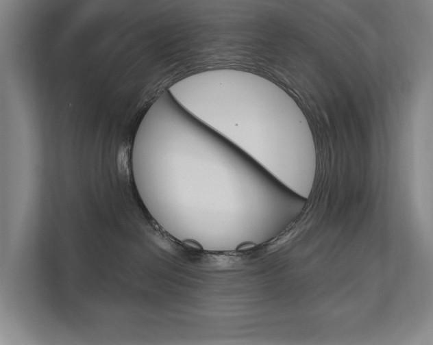 X0000111800286200907231002