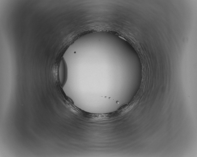 X0000111800288200907231002
