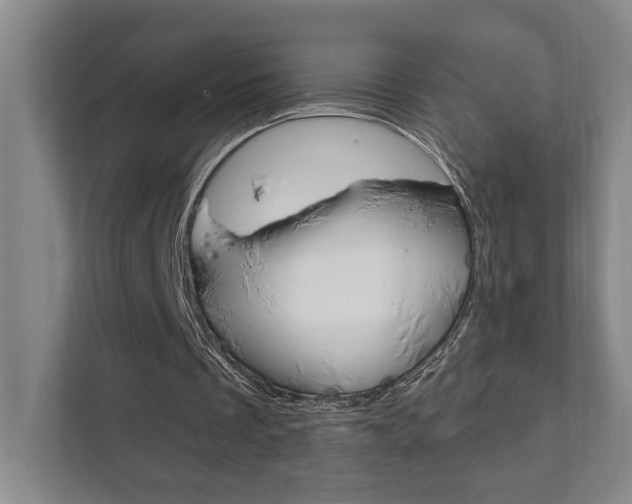 X0000111800289200907231001