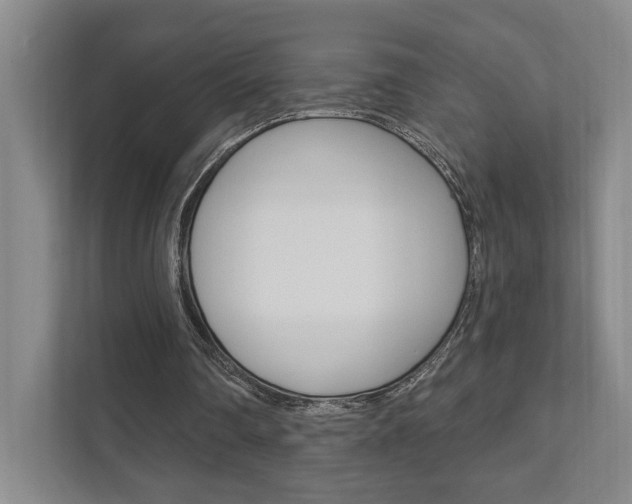 X0000111800290200907231001