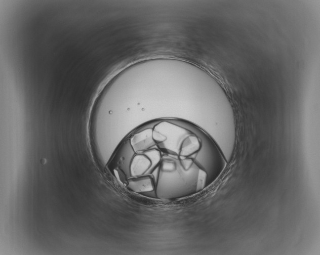 X0000111800292200907231001
