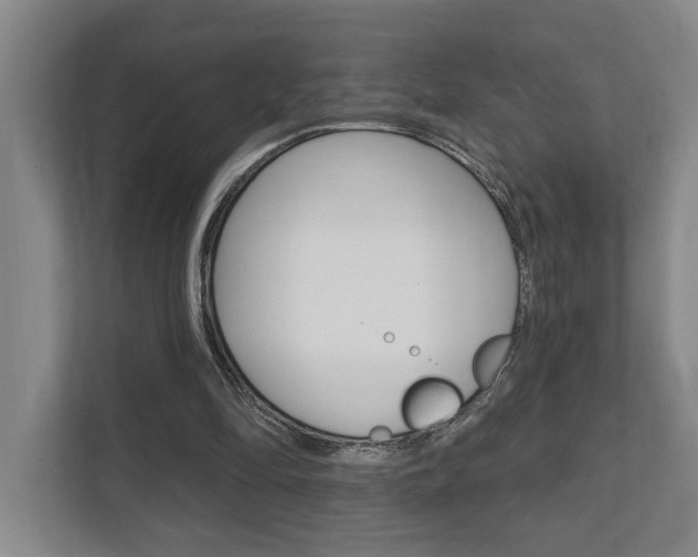 X0000111800294200907231001