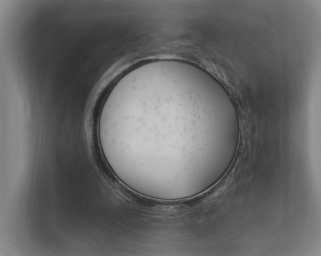 X0000111800295200907231001