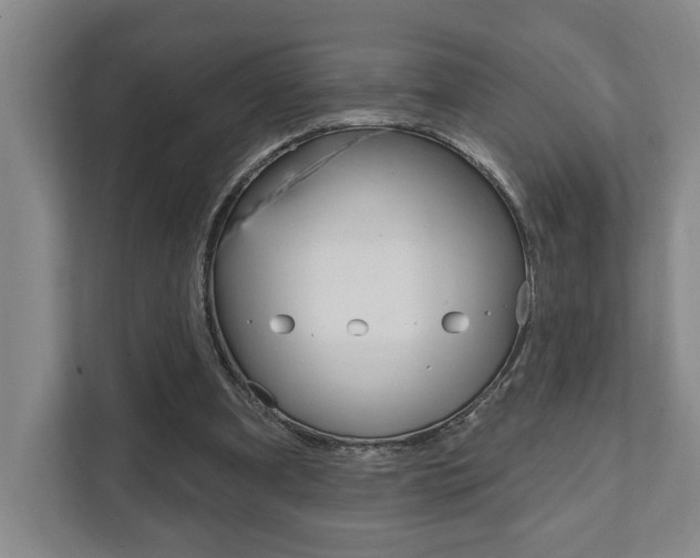 X0000111800297200907231001