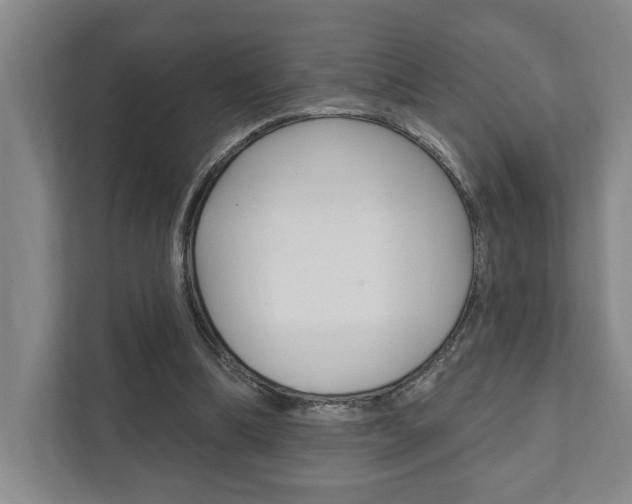 X0000111800298200907231001