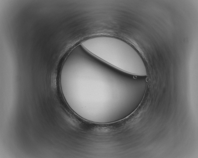 X0000111800299200907231001