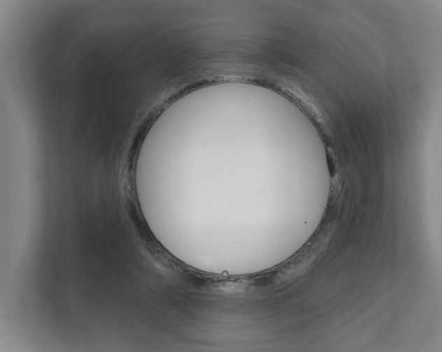 X0000111800306200907231001