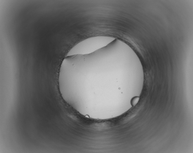 X0000111800307200907231001