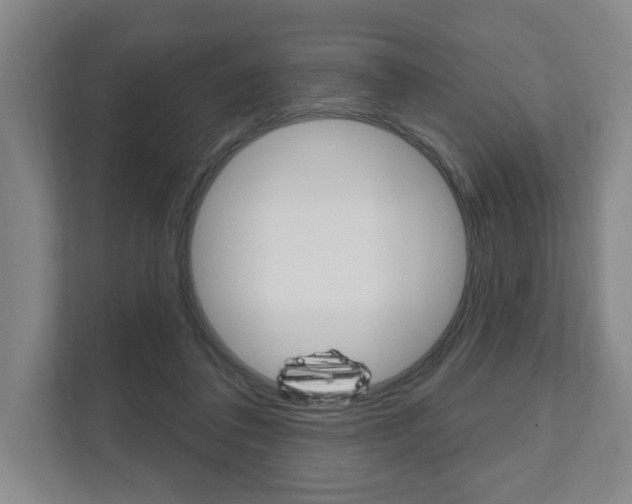 X0000111800308200907231001