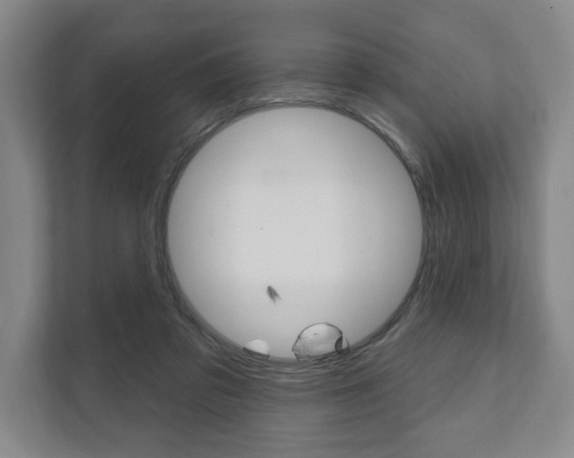 X0000111800309200907231001