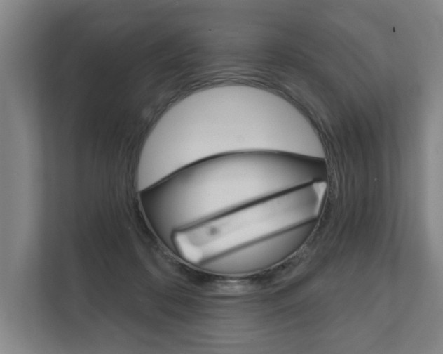 X0000111800316200907231000