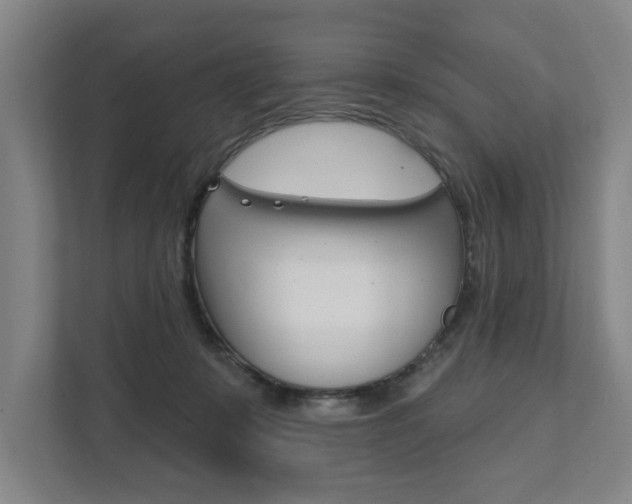 X0000111800319200907231000