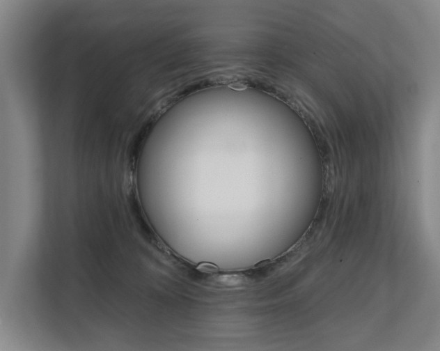 X0000111800324200907231000