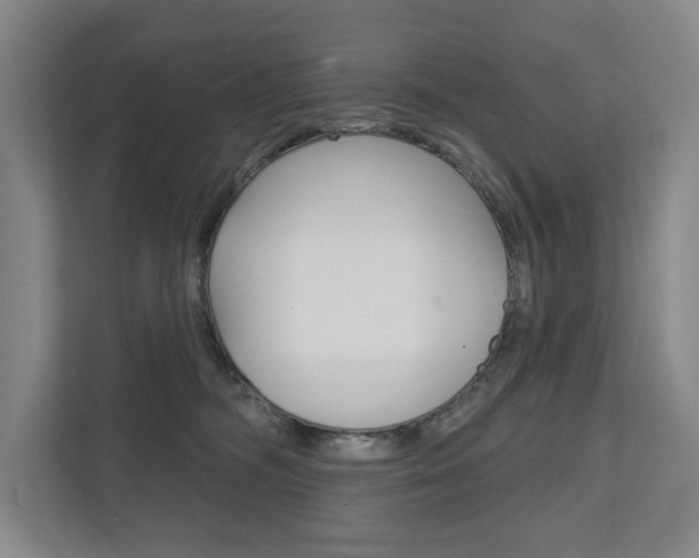 X0000111800326200907231000