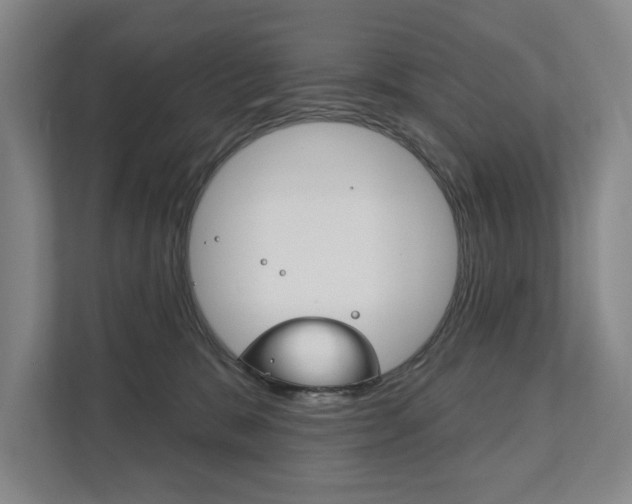 X0000111800327200907231000