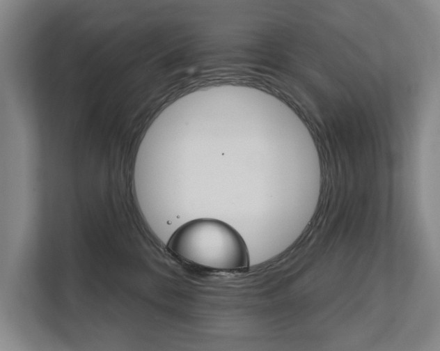 X0000111800328200907231000