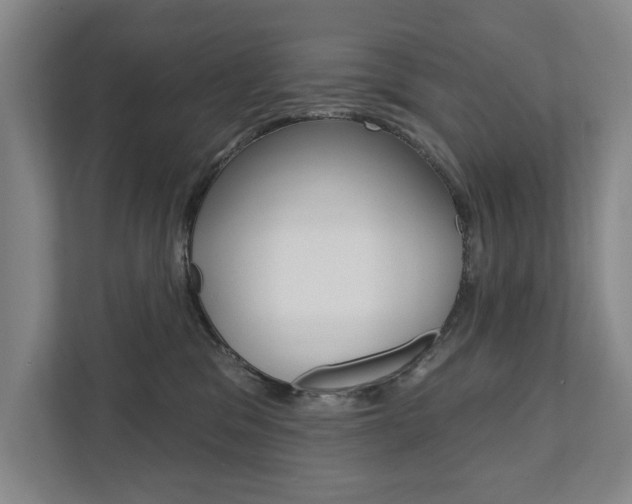 X0000111800329200907231000