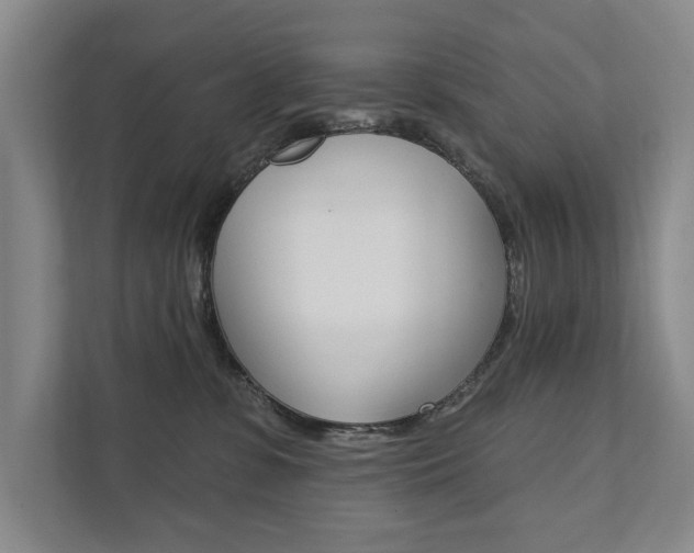 X0000111800331200907231000